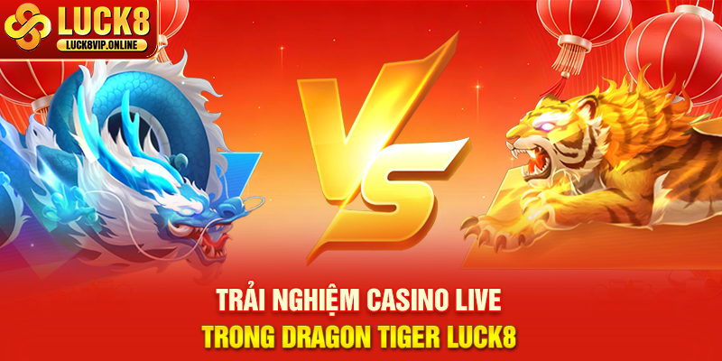 Trải Nghiệm Casino Live Trong Dragon Tiger LUCK8