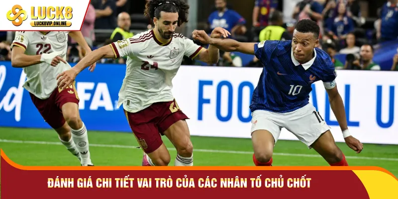 Đánh giá chi tiết vai trò của các nhân tố chủ chốt