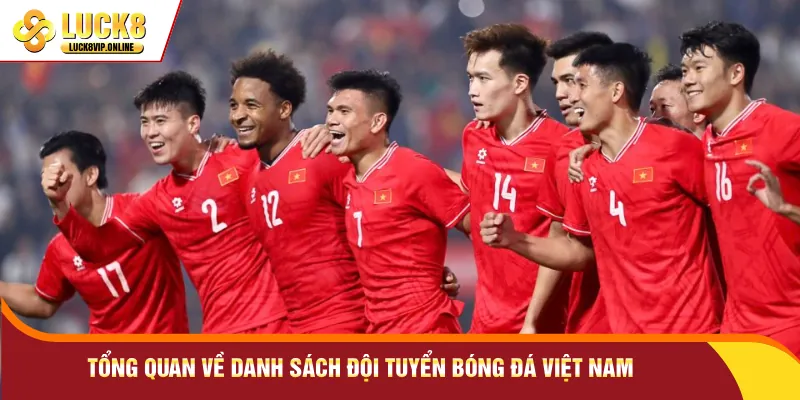 Tổng quan về danh sách đội tuyển bóng đá Việt Nam